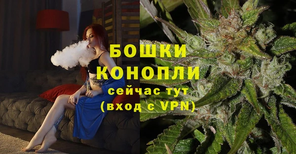 стафф Верхний Тагил