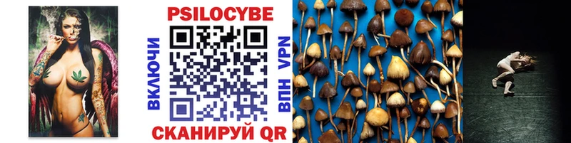 дарнет шоп  Рыбинск  Галлюциногенные грибы мухоморы 